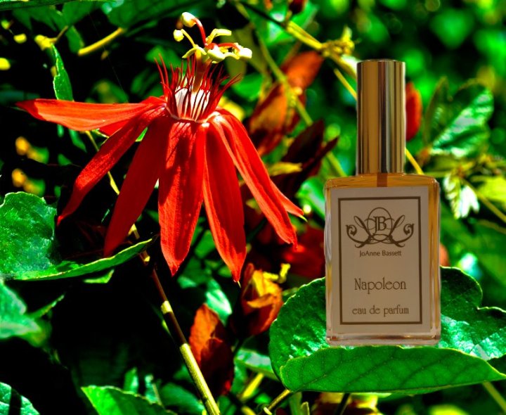 JoAnne Bassett Napoleon